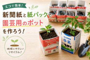 【菜園コラム】新聞紙と紙パックで手作り！仕入れ値0円ポットの詳しい作り方手順