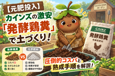 【元肥投入】カインズの激安「発酵鶏糞」で土づくり！化学肥料と比べた圧倒的コスパと熟成手順