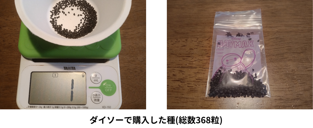 ダイソーで購入した種の総数