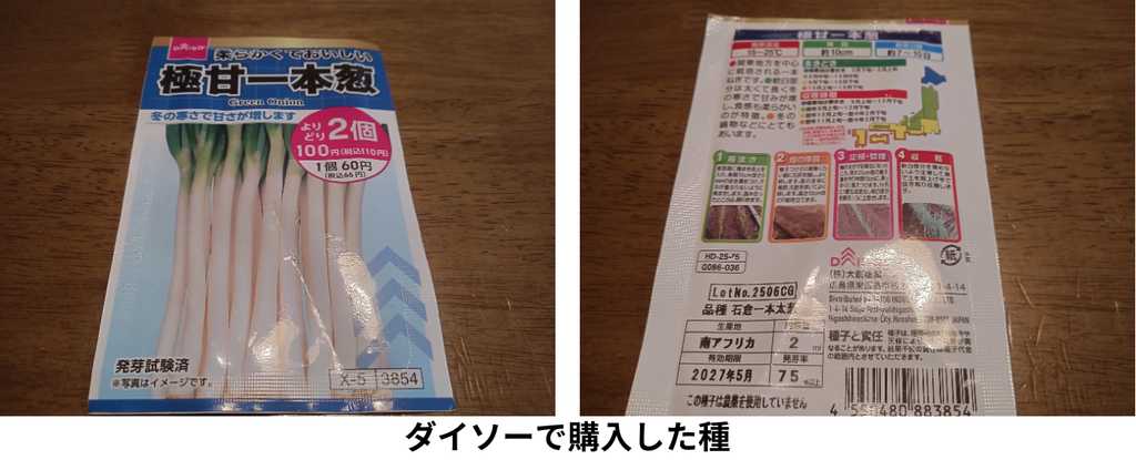 ダイソーで購入したねぎの種