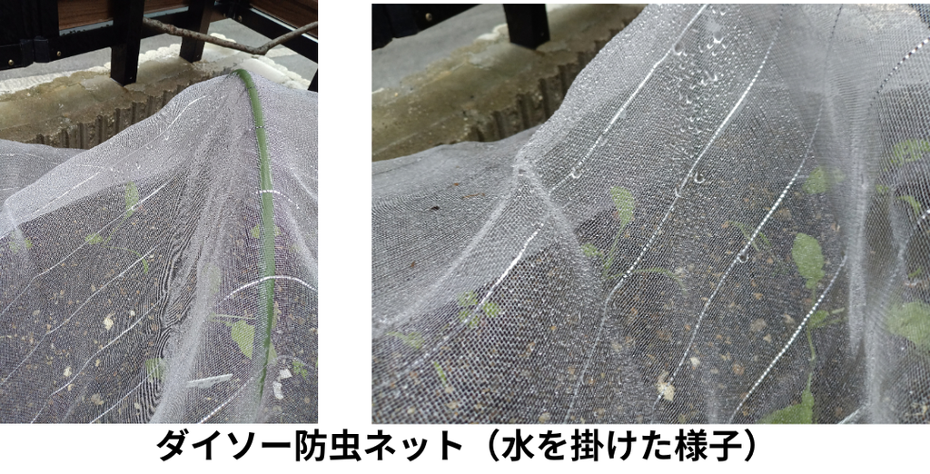 ダイソー防虫ネット水を掛けた様子