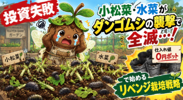 【投資失敗】小松菜・水菜がダンゴムシの襲撃で全滅…！仕入れ値0円ポットで始めるリベンジ栽培戦略
