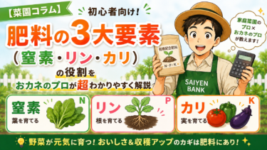 【菜園コラム】初心者向け！野菜を育てる「肥料の3大要素（窒素・リン・カリ）」の役割をおカネのプロが超わかりやすく解説