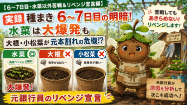 【6〜7日目・水菜以外苦戦＆リベンジ宣言編】実録】種まき6〜7日目の明暗！水菜は大爆発も大根・小松菜が元本割れの危機！？元銀行員のリベンジ宣言