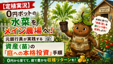 【定植実況】0円ポットの水菜をメイン農場へ！元銀行員が実践する資産（苗）の「庭への本格投資」手順