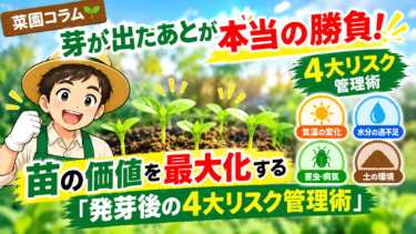 【菜園コラム】芽が出たあとが本当の勝負！苗の価値を最大化する「発芽後の4大リスク管理術」