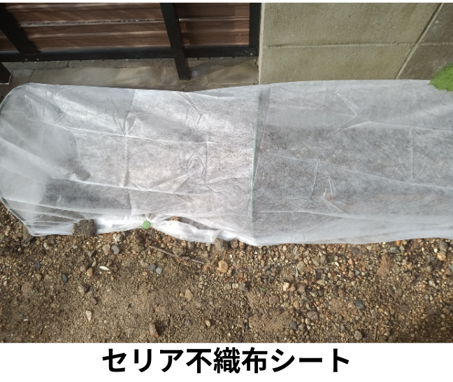 セリア不織布シート