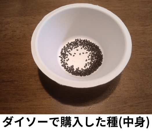 ダイソーで購入した種の中身