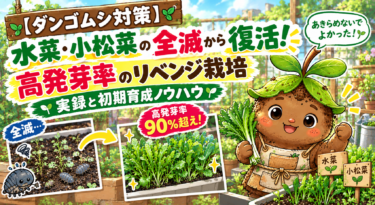 【ダンゴムシ対策】水菜・小松菜の全滅から復活！高発芽率のリベンジ栽培実録と初期育成ノウハウ
