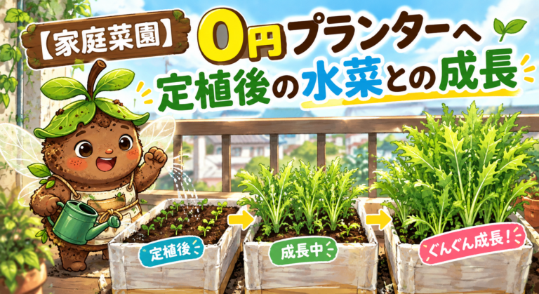 0円プランターで水菜ぐんぐん成長