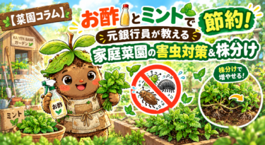 【菜園コラム】お酢とミントで節約！元銀行員が教える家庭菜園の害虫対策＆株分け
