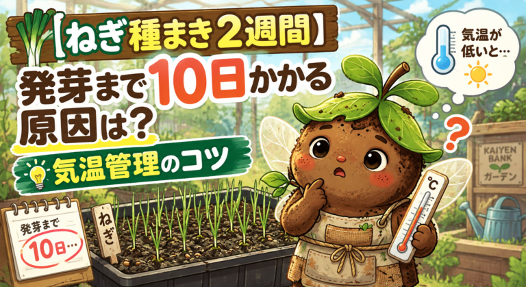 ねぎ発芽10日の秘密！温度管理のコツ