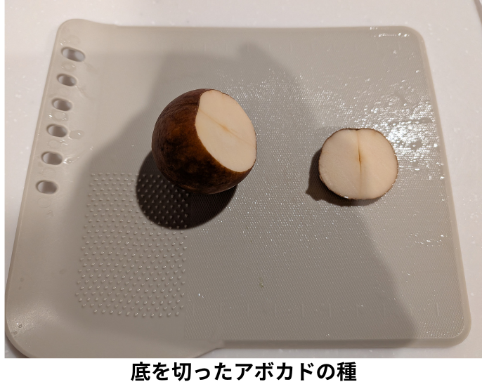 底を切ったアボカドの種